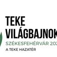 Megvan a hazai rendezésű világbajnokság szlogenje és logója