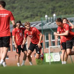 Két Dárdai a pályán, megvannak a magyar–svéd kezdői!