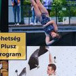 Négy új fiatalt támogat a Tehetség Plusz program
