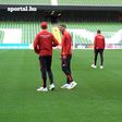 Ismerkedés az Aviva Stadion gyepével