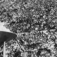 Emlékművet avatnak az 1952-es helsinki olimpia érmeseinek emlékére Székesfehérváron
