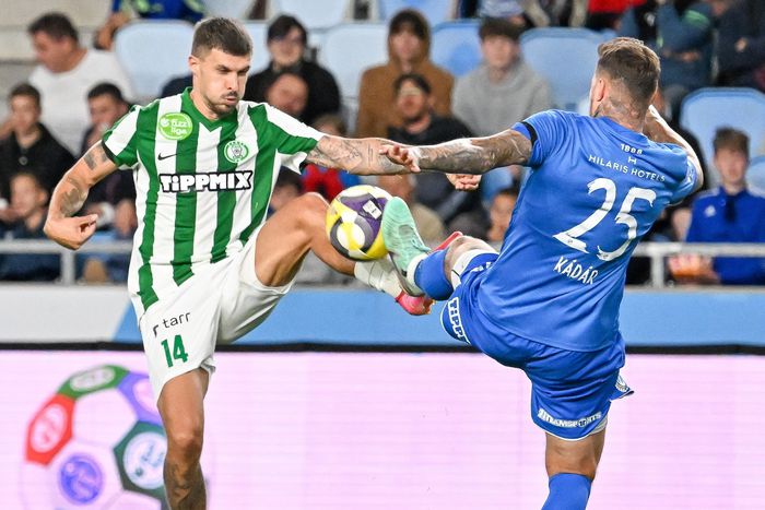 Nagy küzdelem várható Pakson (Fotó: MTI/Illyés Tibor)