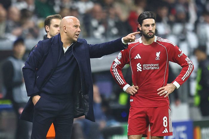 A holland szakember nagyon elégedett magyar játékosával