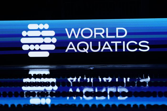 A javaslatot már eljuttatták a World Aquaticshez