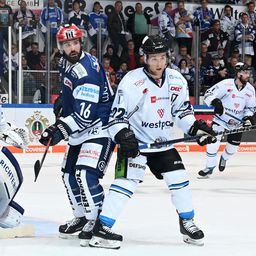 Öt mérkőzésre szóló eltiltást kapott a Fehérváron kiállított Mike Halmo
