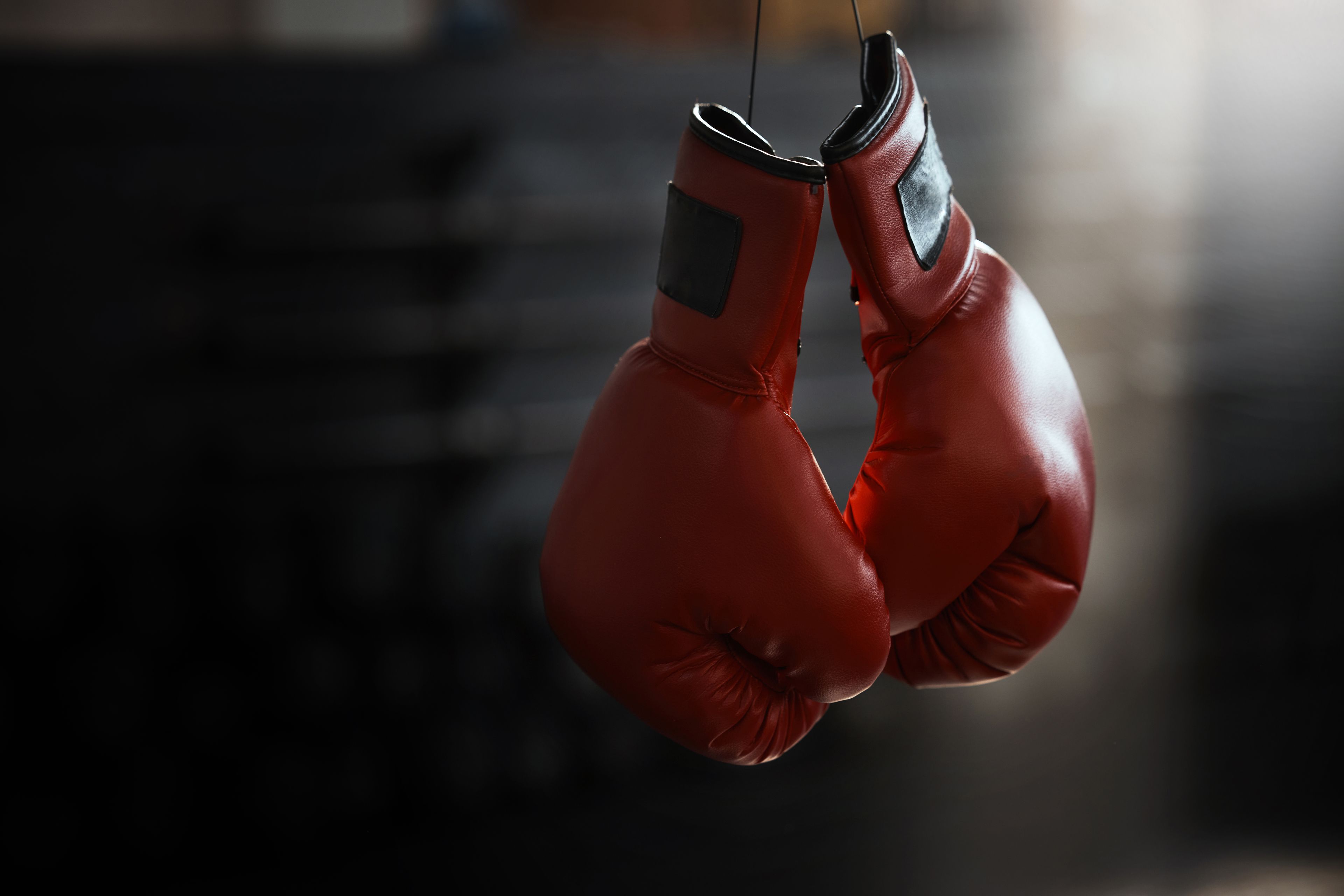 Hat tagszervezete van már az új bokszszövetségnek