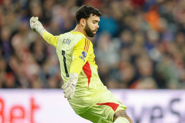 Seamen Rayát hibáztatja