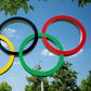 Megjelent a Magyar Speciális Olimpia Szövetség történetét összefoglaló könyv