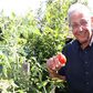 Gulyás László: Hiányzik a mikrofon