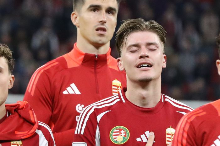 Megvan Gruber Zsombor első gólja a válogatottban (Fotó: Juhász Sára)