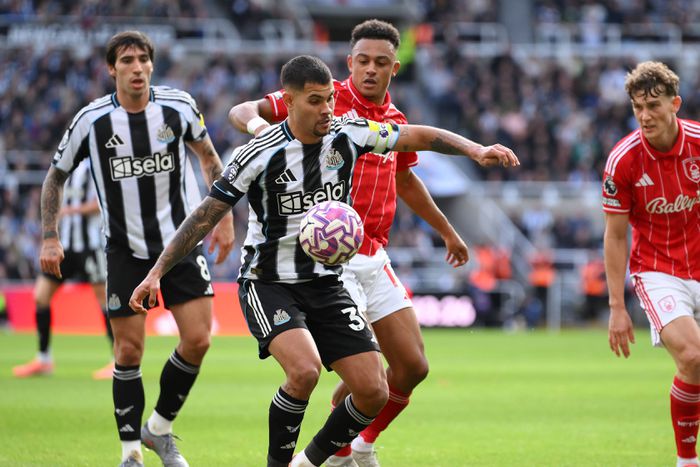 Új igazgatója lett a Newcastle-nek