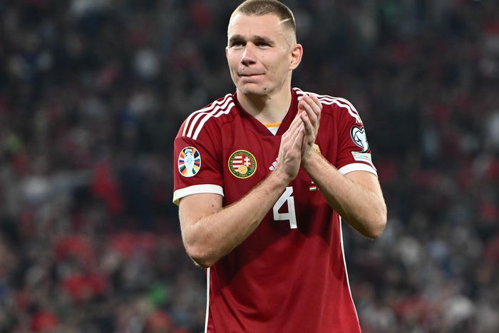 Szalai Attila a kevés játéklehetőség miatt távozhat a Hoffenheimtől
