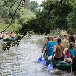 Mozgás Éjszakája, RábaLapátolás, Brutálfutás – sportos kalandokkal telik a hétvége!