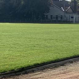 Az elnökhelyettes nyírja le a füvet a Fradi elleni kupamérkőzésre
