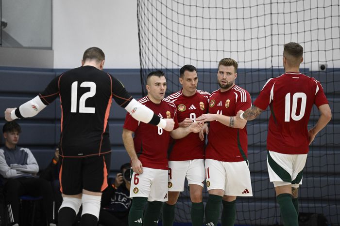 Magabiztos magyar győzelem az Eb-házigazda ellen (Fotó: MTI)