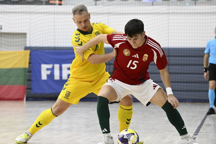 A litvánok ezúttal sem tudták legyőzni a magyar válogatottat (Fotó: MTI)