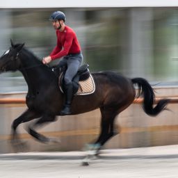Marosi Ádám negyvenhez közeledve is nekivág az olimpiai ciklusnak (Fotó: Ringier archív)