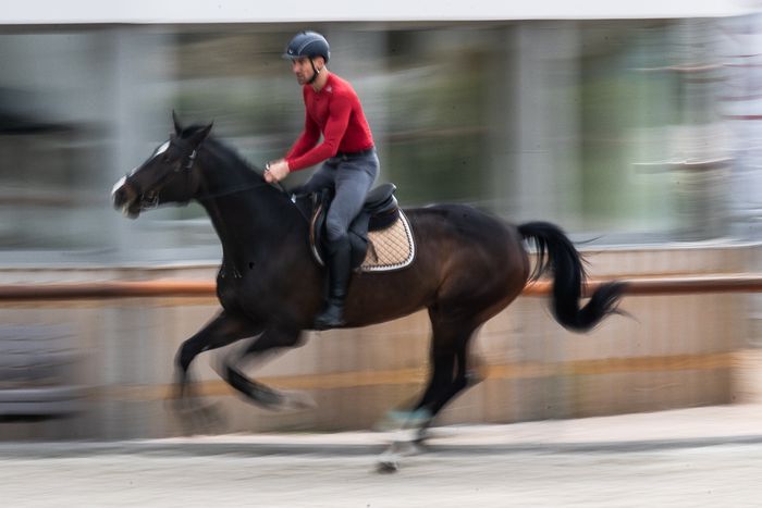 Marosi Ádám negyvenhez közeledve is nekivág az olimpiai ciklusnak (Fotó: Ringier archív)