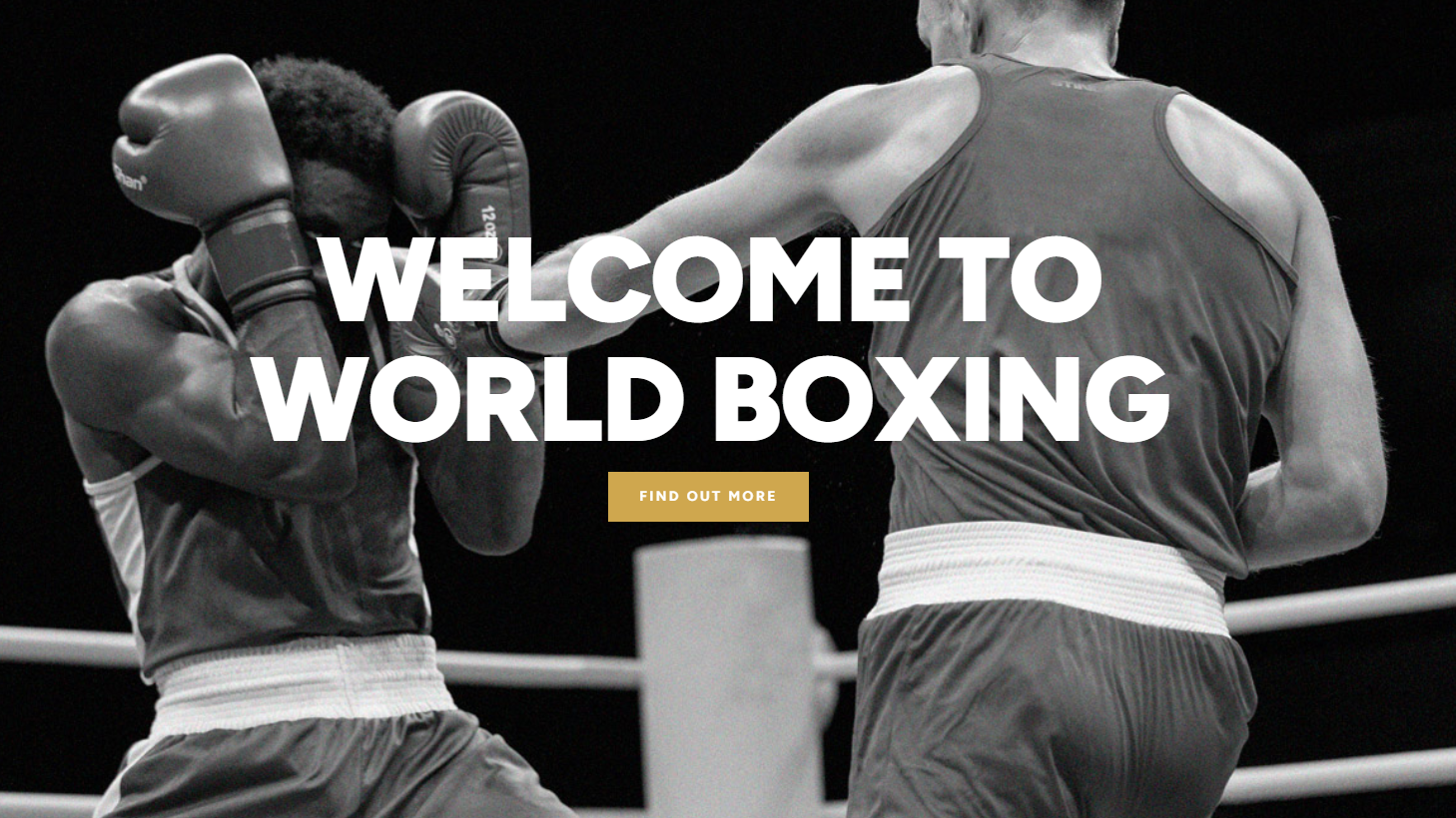 A World Boxing honlapja (Fotó: worldboxing.org)