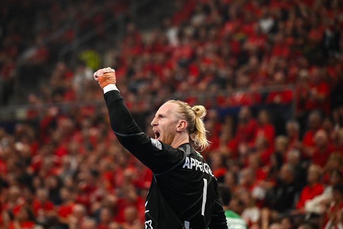 A négy győzelemmel és három vereséggel álló bakonyi együttes és norvég ellenfele egy hét múlva Veszprémben ismét megmérkőzik egymással (Fotó: MTI)