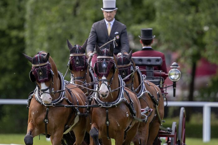 Weber nyerte a díjhajtást