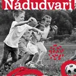 Gera Zoltán a Nádudvari-pályázat bírálóbizottságának elnöke