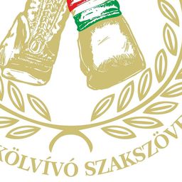 Tisztújítás jövőre, ügyvivői testület felel az ökölvívásért – nyilatkozat