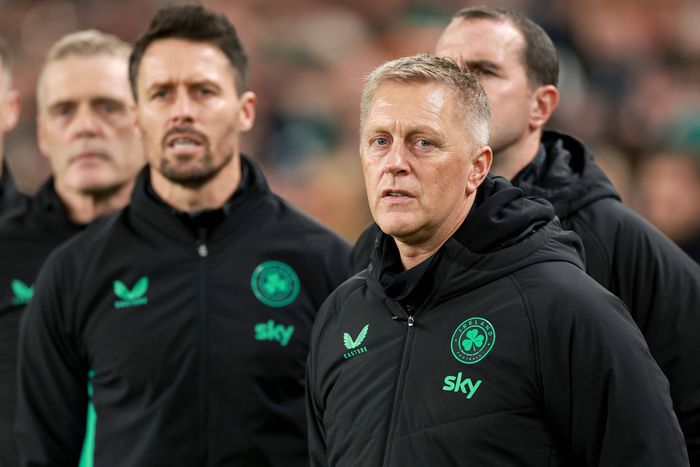 Heimir Hallgrímsson, az ír szövetségi kapitány