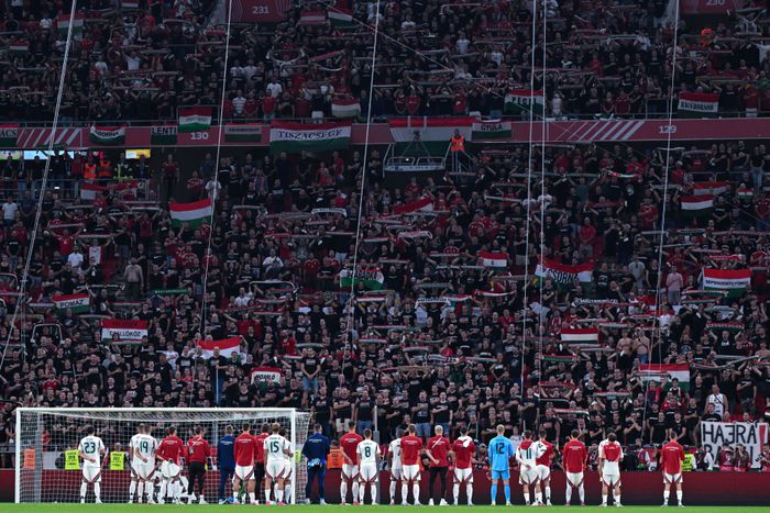 Fotó a magyar–portugál után (Forrás: MTI)