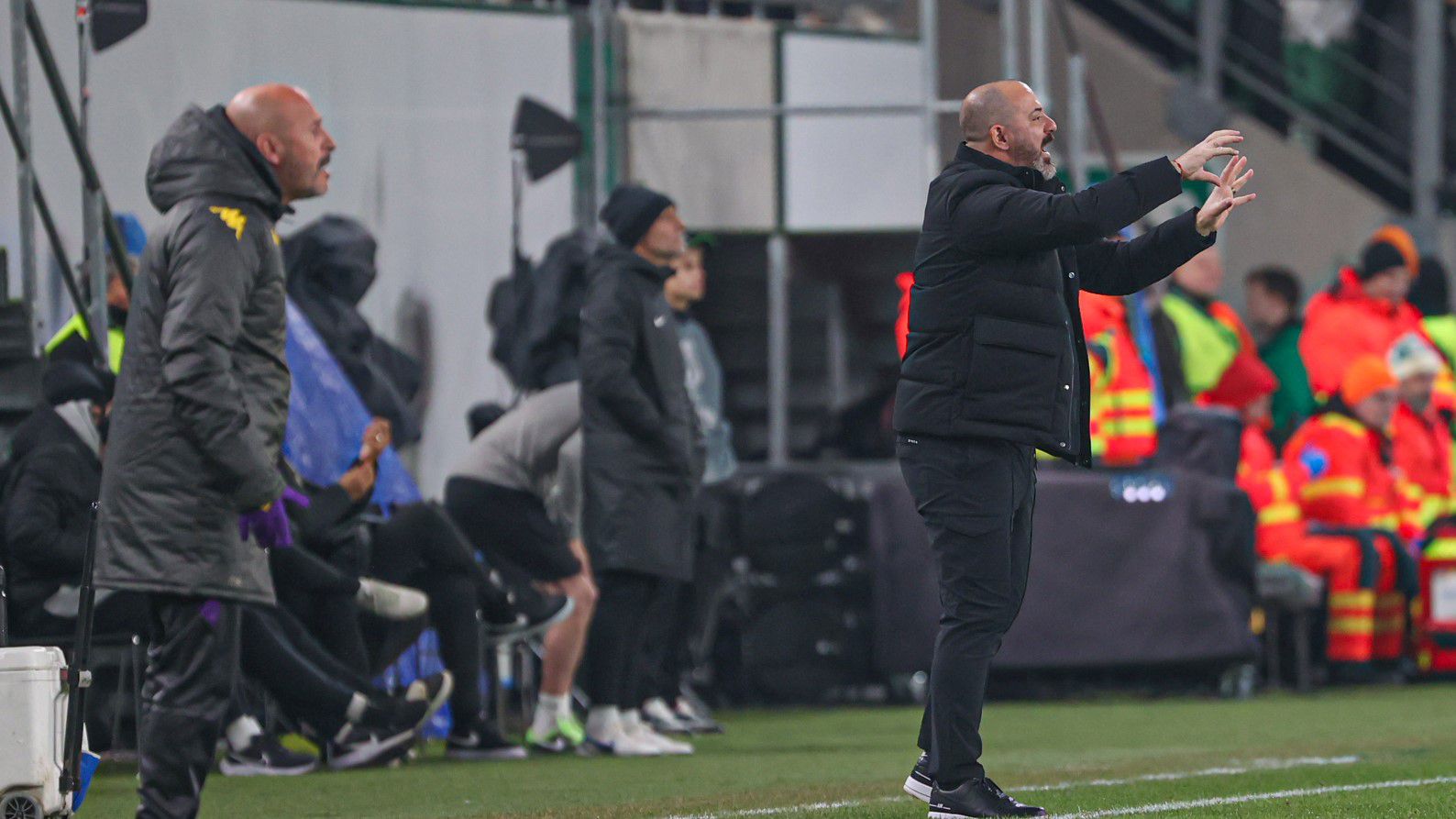 Dejan Sztankovics egy percig sem lazított a hazai kispadnál a Fiorentina elleni meccsen Fotó: Zsolnai Péter