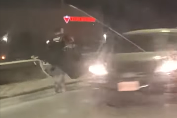 Zach Dietz rohan a meccsére (Fotó: Instagram/Spittin Chiclets)