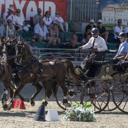 Boyd Exell nyert a négyesfogatoknál a Szilvásvárad Mastersen