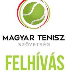 Facebookon keres új főtitkárt a Magyar Tenisz Szövetség