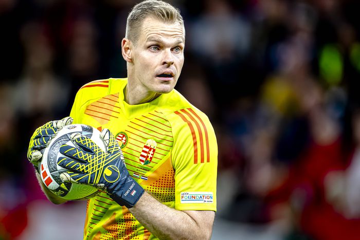 A 34. születésnapját ünneplő Dibusz Dénes kezd Hollandia ellen (Fotó: Imago)