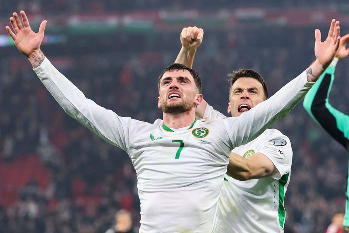 Troy Parrott két mérkőzésen öt gólt lőtt