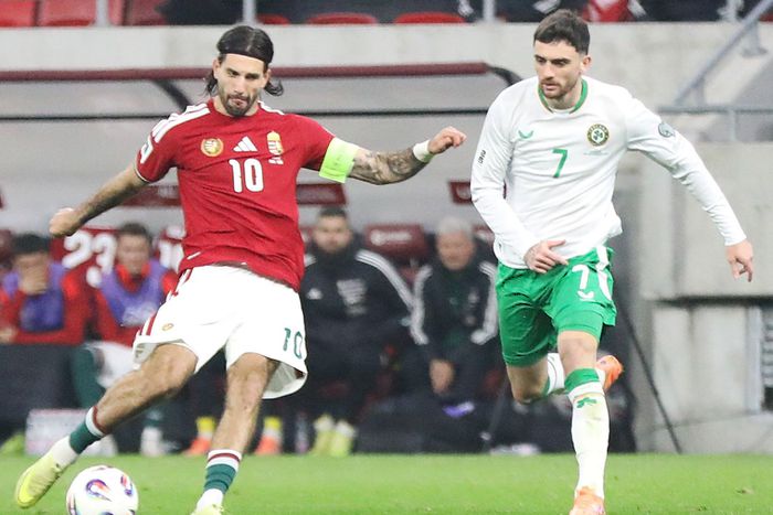 Parrott nemzeti hős lett - Fotó: Juhász Sára