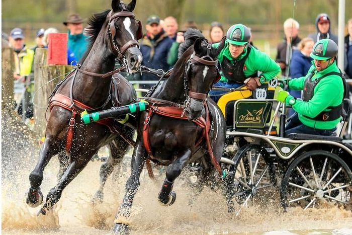 Hölle Martin és csapata kiváló eredménnyel, győzelemmel zárta idei első nemzetközi versenyét (Fotó: Fogathajtó Szakbizottság/Facebook)