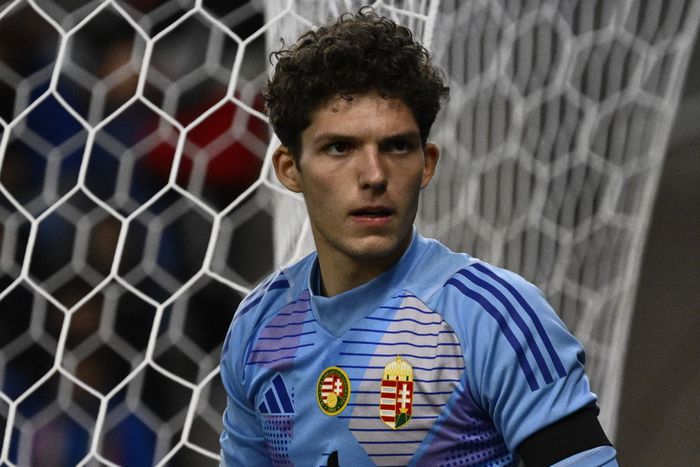 Az eddigi mérkőzéseken Pécsi Ármin védte a magyar kaput (Fotó: MTI)