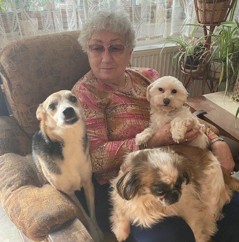 Hat kutya és egy kanári is együtt él Fábiánnéval és családjával