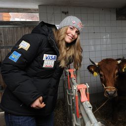 Vonn-nak egész tehéncsordája van