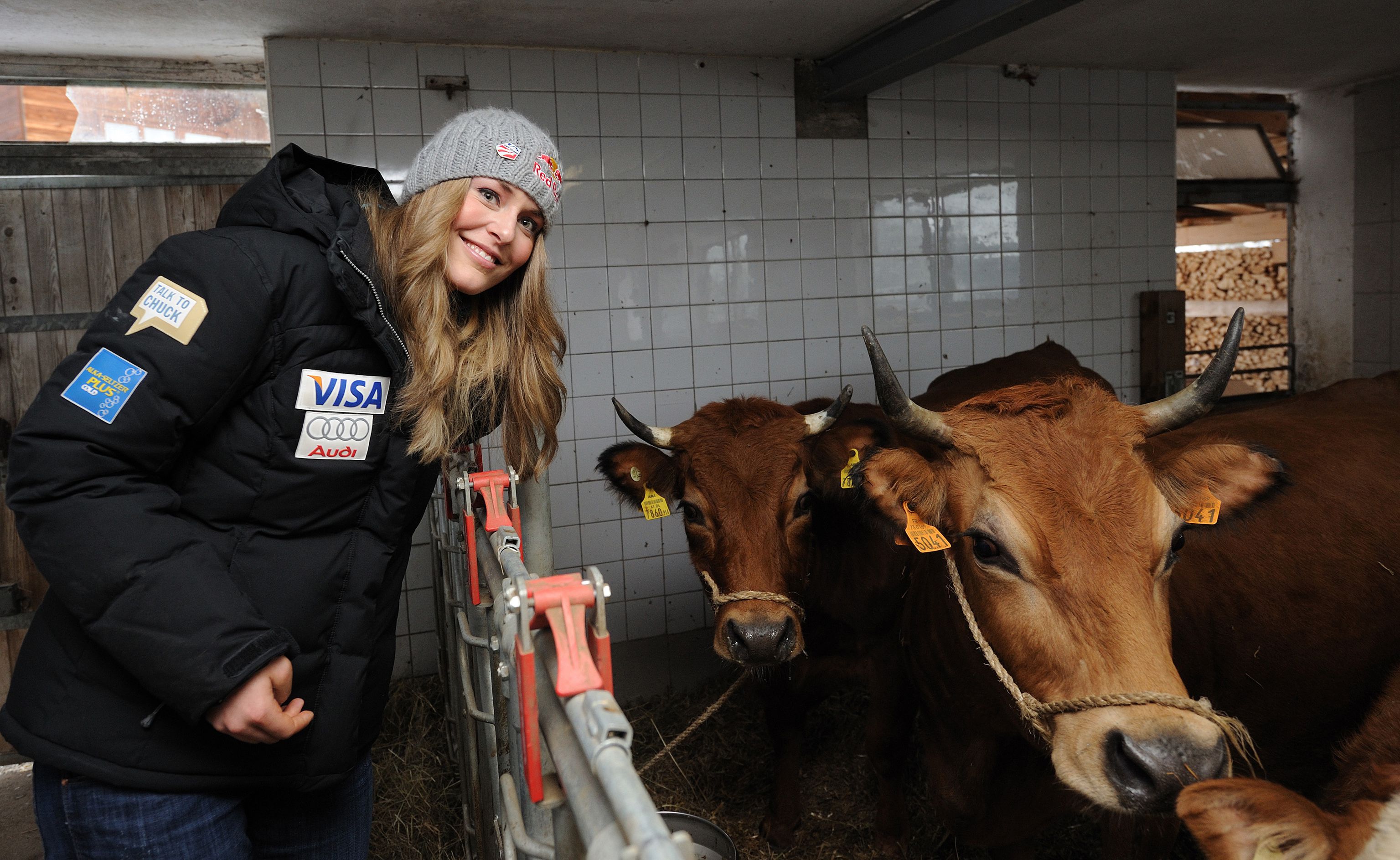 Lindsey Vonn az első tehenét egy Világkupa-futamgyőzelem után kapta, aztán tovább szaporodott az állománya/Getty Images