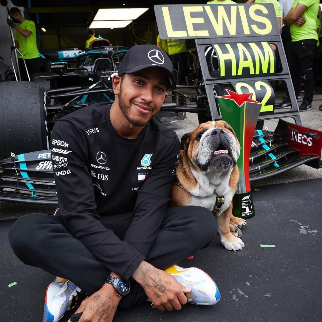 Lewis Hamilton sokszor a futamokra is elviszi buldogját, saját, névre szóló belépőt is kapott az eb / Fotó: Instagram
