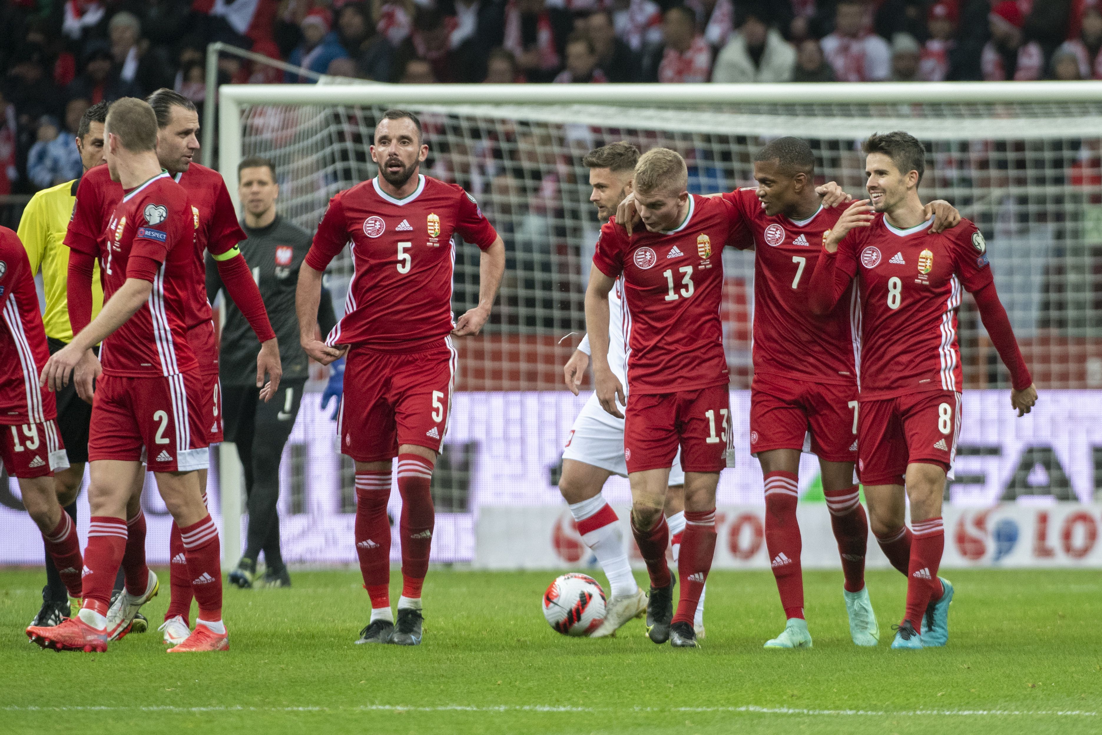 Lengyelországi győzelemmel zárta az évet a válogatott /Fotó: Profimédia