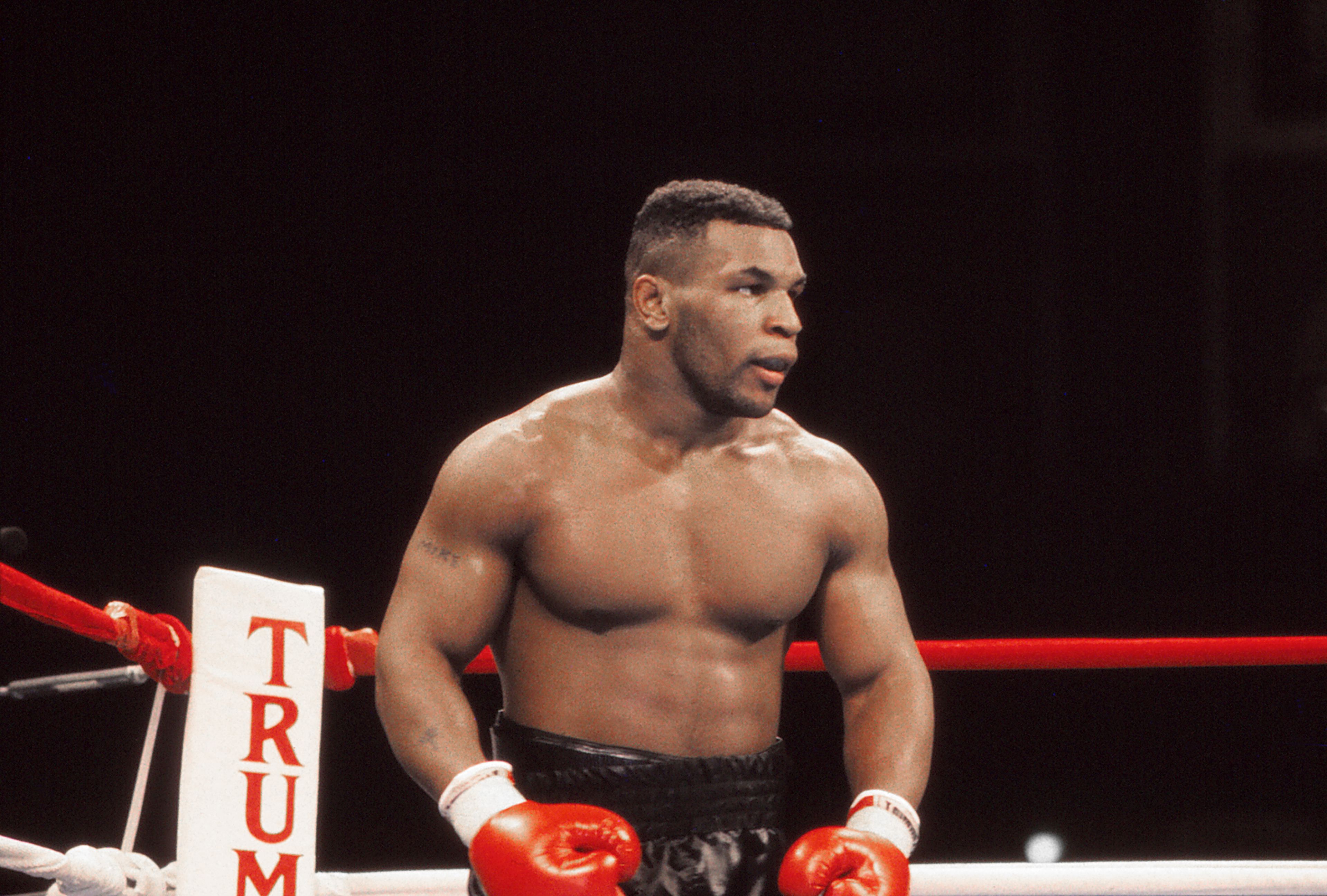 Tyson 53 évesen újra csúcsformában /Fotó: Getty Images