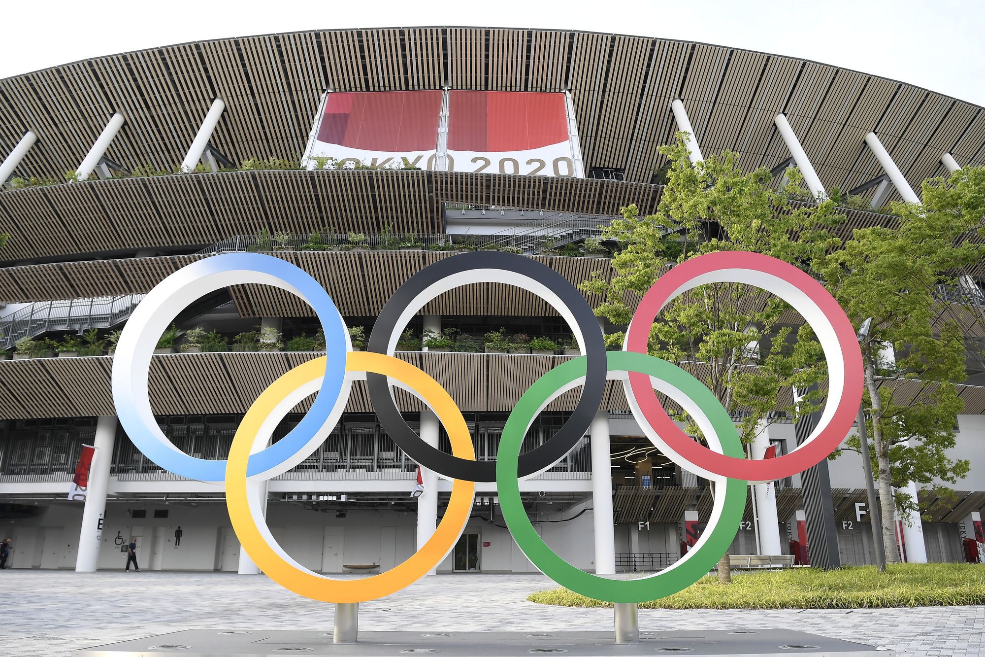 Megsérült az olimpia egyik legnagyobb sztárja /Fotó: MTI/Kovács Tamás