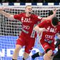 Fájó vereség: a magyar férfi kézilabda-válogatott kikapott Hollandiától az Eb nyitómeccsén
