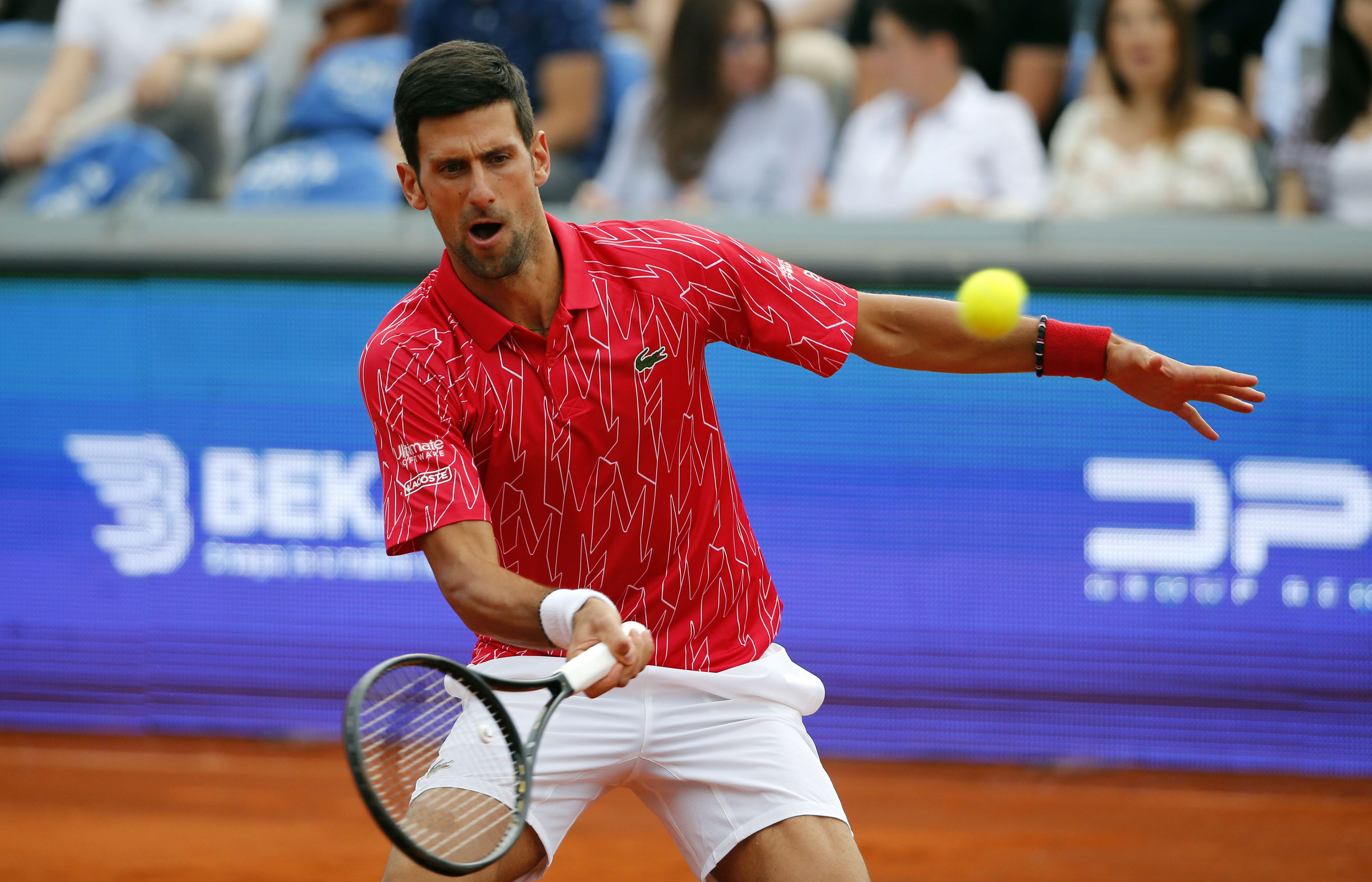 Novak Djokovics újra őrizetben / Fotó: Northfoto