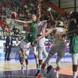 A szakvezető szerint még az út elején jár a Sopron Basket