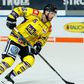Korábbi NHL-es játékossal erősített a Csíkszereda – hivatalos