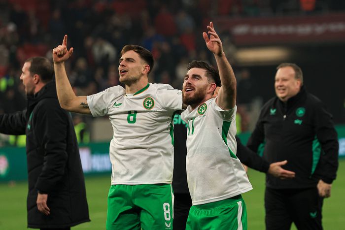 Az írek a Lengyelország, Wales, Csehország, Szlovákia négyes valamelyikével csapnak majd össze márciusban